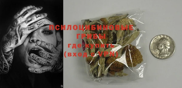 ПСИЛОЦИБИНОВЫЕ ГРИБЫ Алексеевка