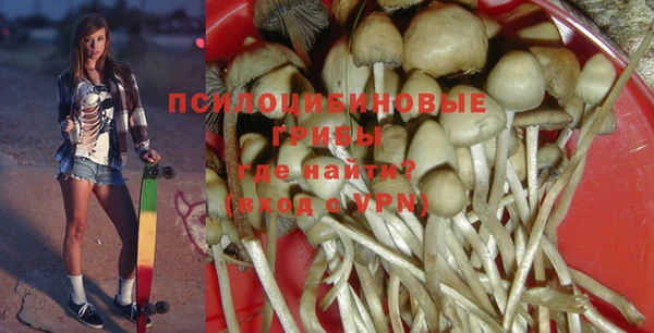 ПСИЛОЦИБИНОВЫЕ ГРИБЫ Алексеевка
