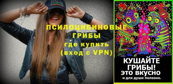 ПСИЛОЦИБИНОВЫЕ ГРИБЫ Алексеевка
